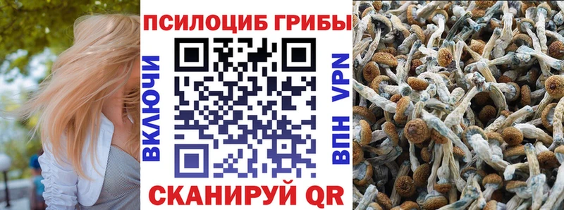 Галлюциногенные грибы Psilocybine cubensis  blacksprut ТОР  Рыбное 